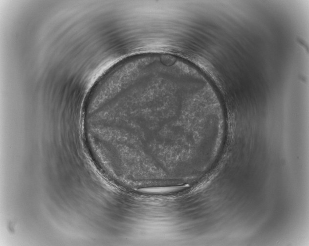 X0000100211077200806271659
