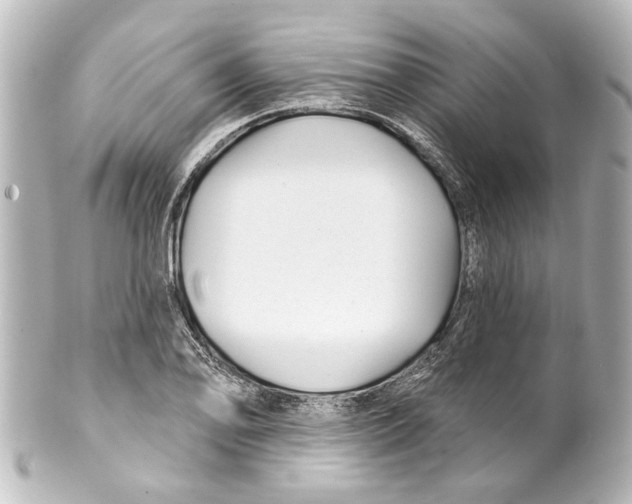 X0000100211078200806271659