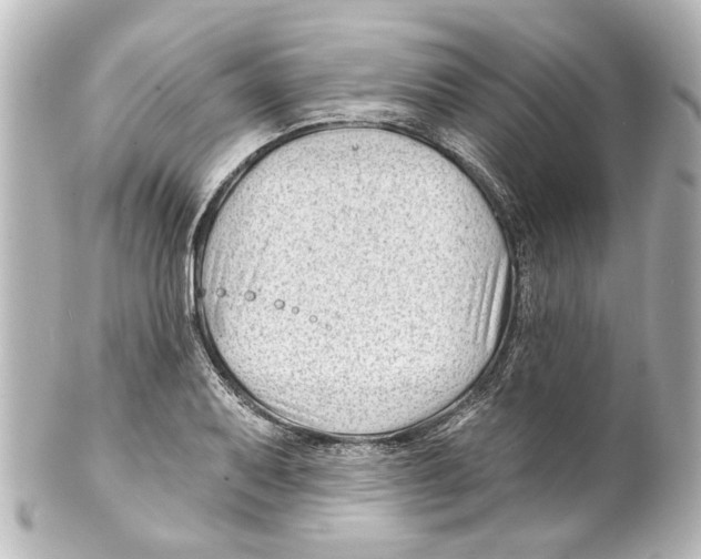 X0000100211079200806271659