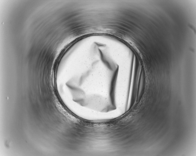 X0000100211080200806271659