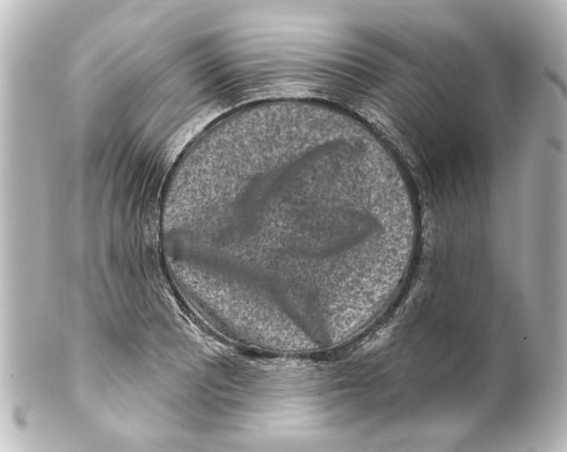 X0000100211081200806271659