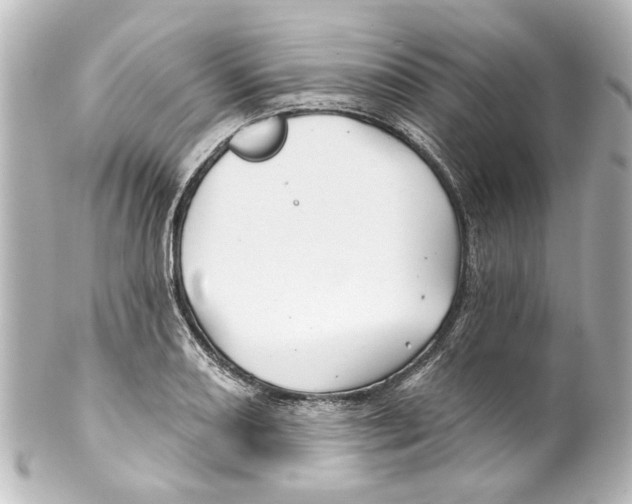 X0000100211082200806271659