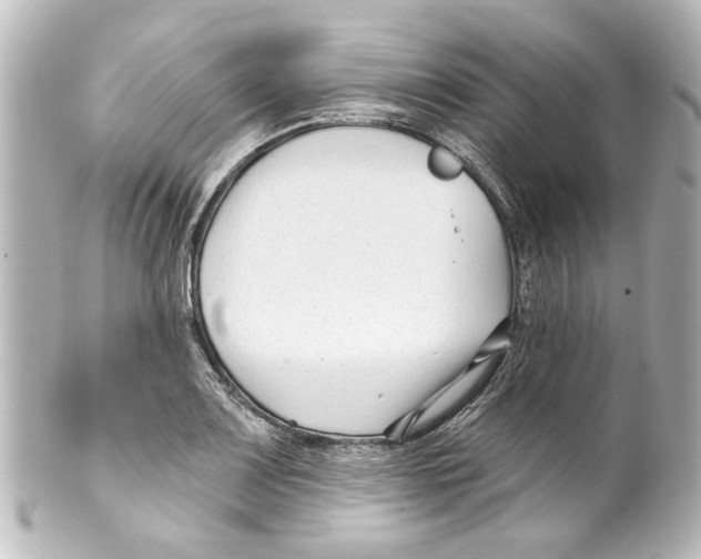 X0000100211083200806271659