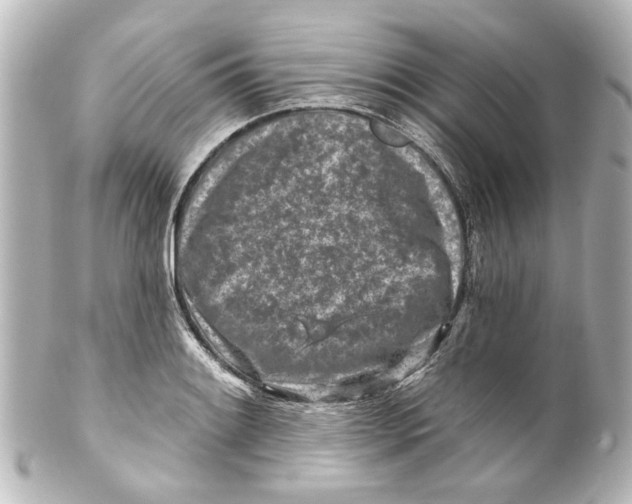 X0000100211084200806271659