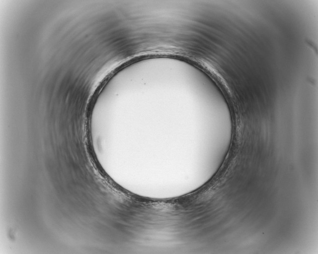 X0000100211085200806271659