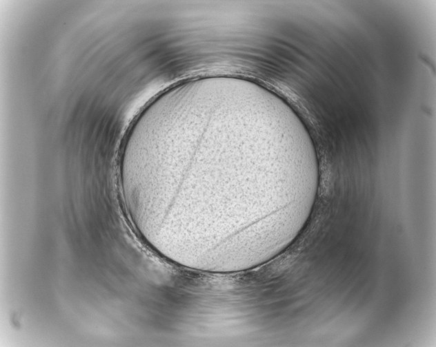 X0000100211086200806271659