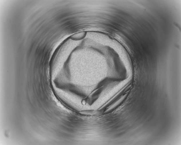 X0000100211092200806271659
