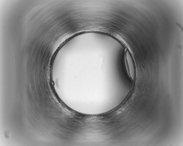 X0000100211093200806271659
