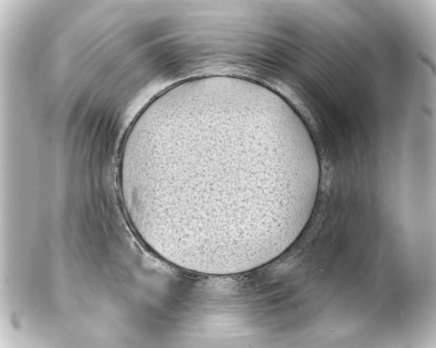 X0000100211094200806271659
