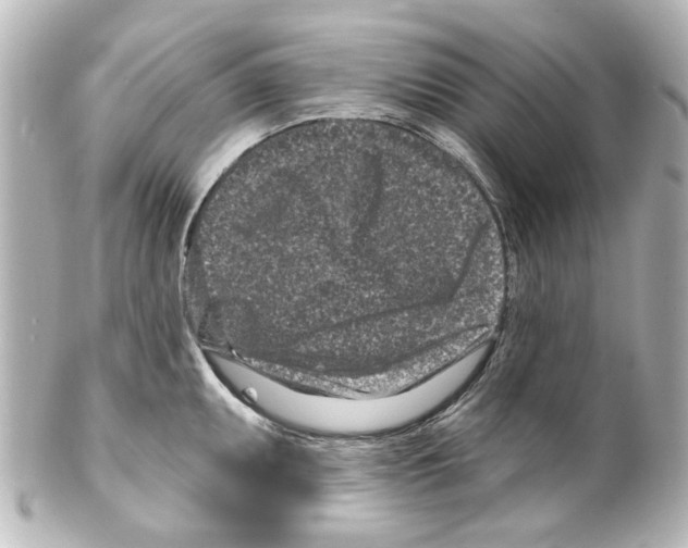 X0000100211095200806271659