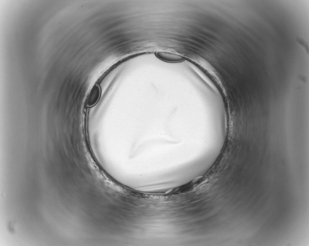 X0000100211096200806271659