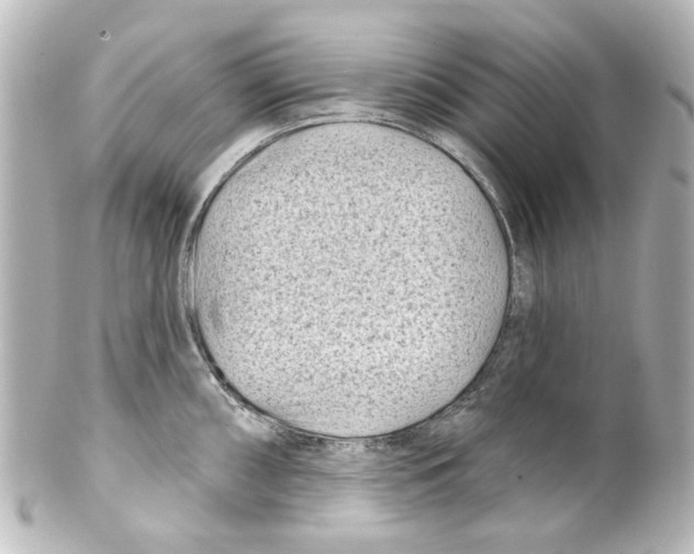X0000100211098200806271658