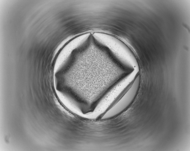 X0000100211100200806271658