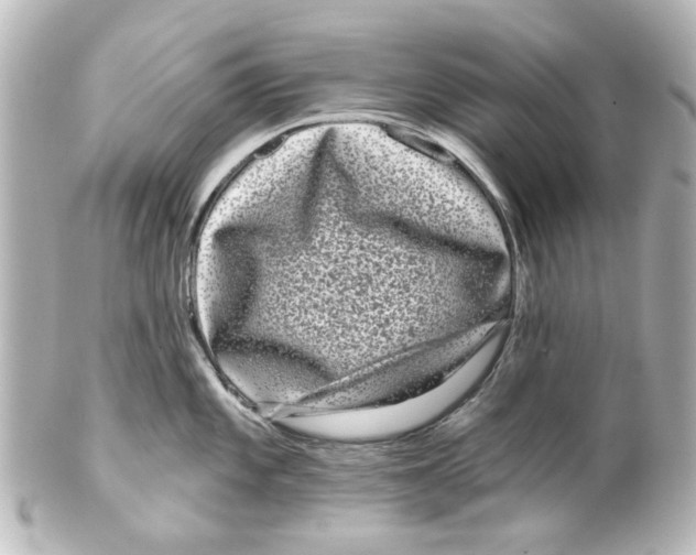 X0000100211101200806271658