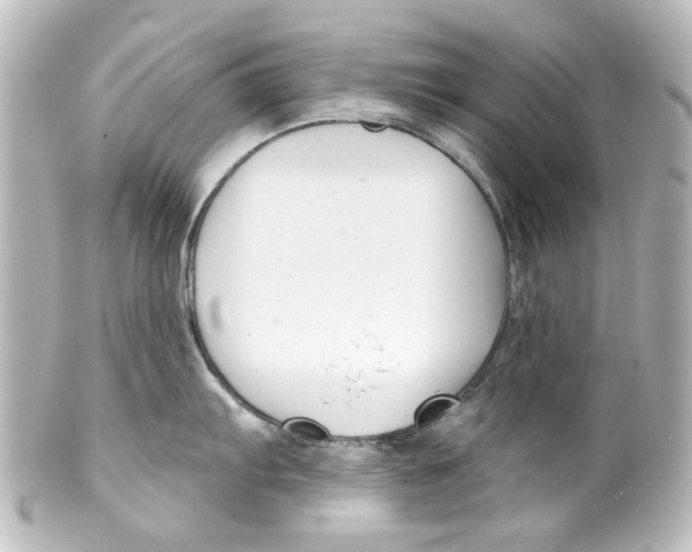 X0000100211103200806271658