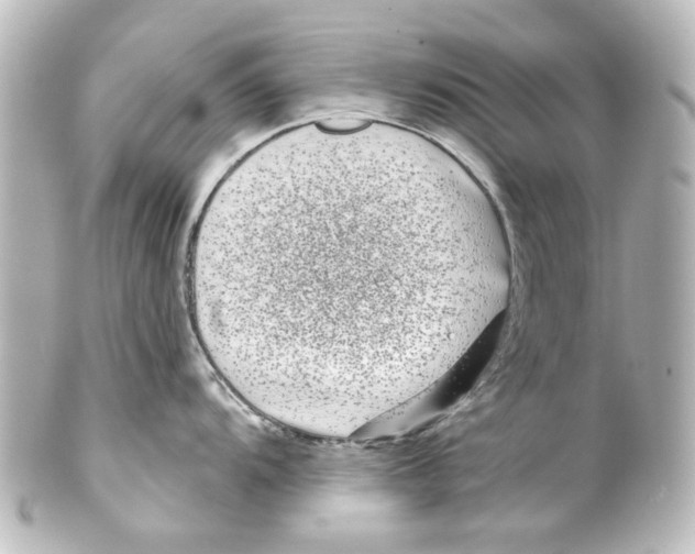 X0000100211104200806271658