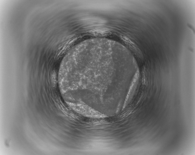 X0000100211108200806271658