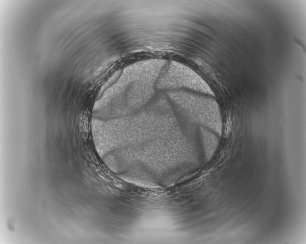 X0000100211110200806271658