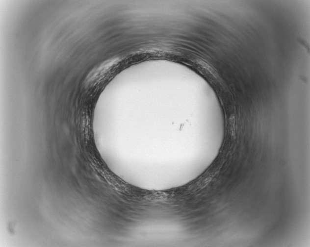 X0000100211111200806271658