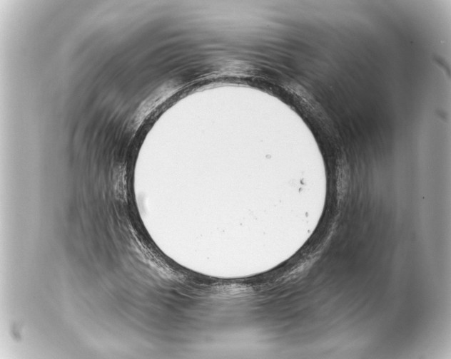 X0000100211113200806271658