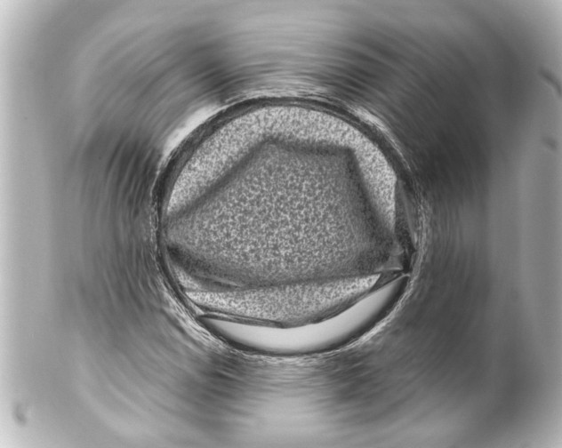 X0000100211114200806271658