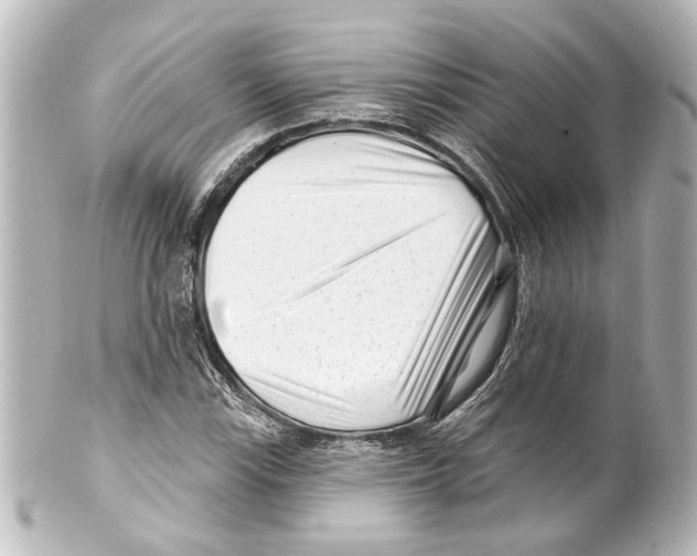 X0000100211115200806271658