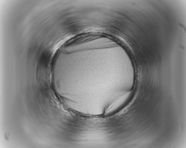 X0000100211117200806271658