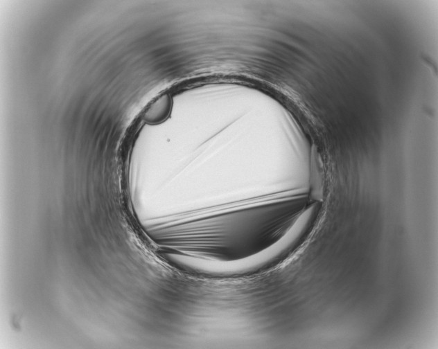 X0000100211118200806271658