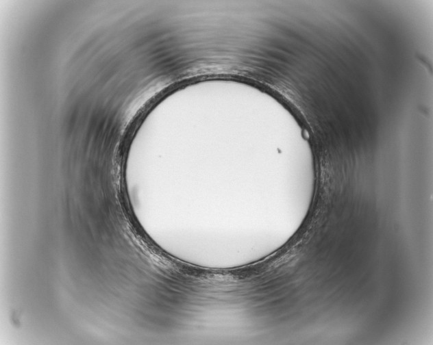 X0000100211119200806271658