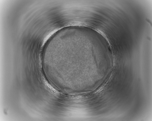 X0000100211120200806271658