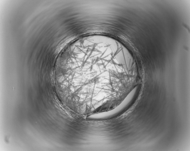 X0000100211121200806271658