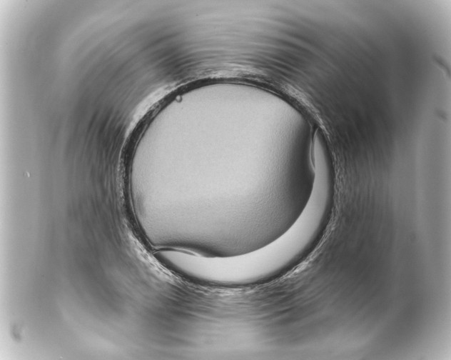 X0000100211122200806271658