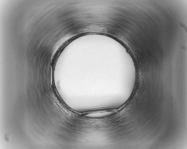 X0000100211123200806271658