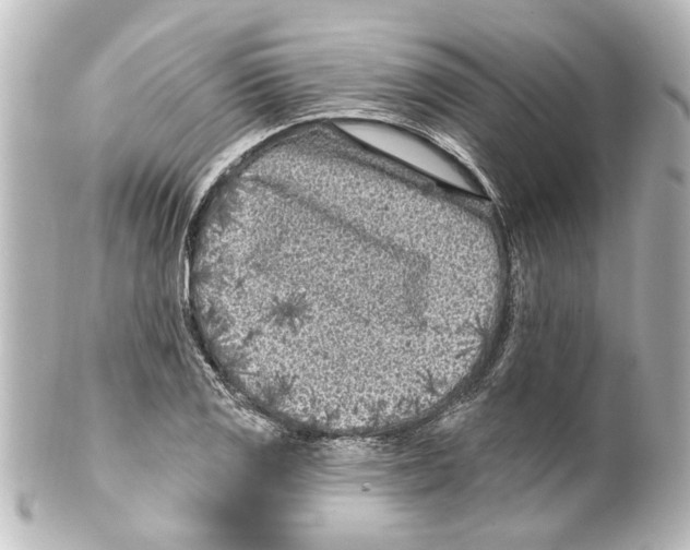 X0000100211125200806271658
