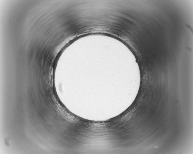 X0000100211126200806271658