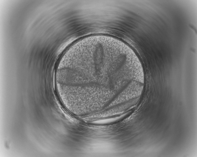 X0000100211127200806271658