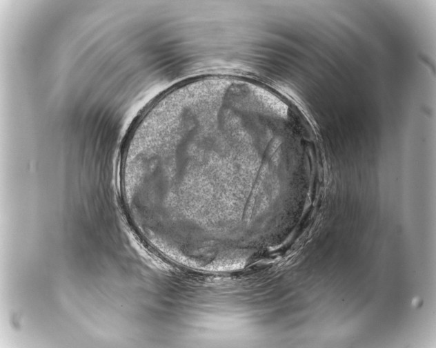 X0000100211128200806271658