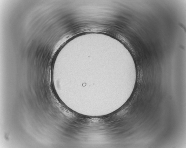 X0000100211130200806271658