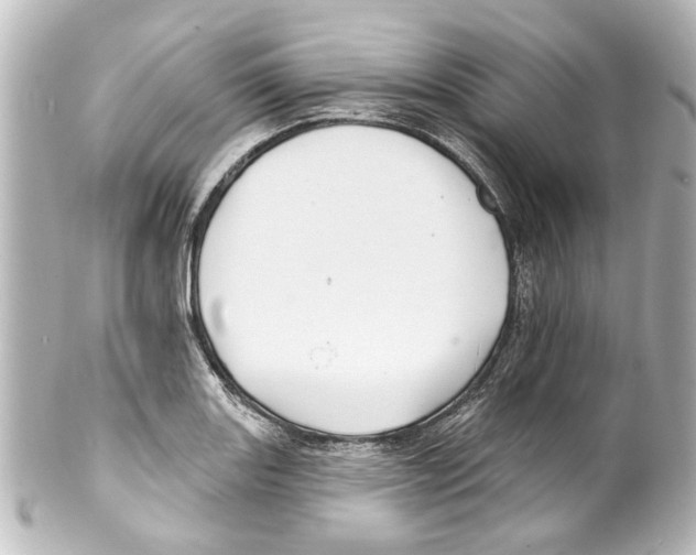 X0000100211131200806271658
