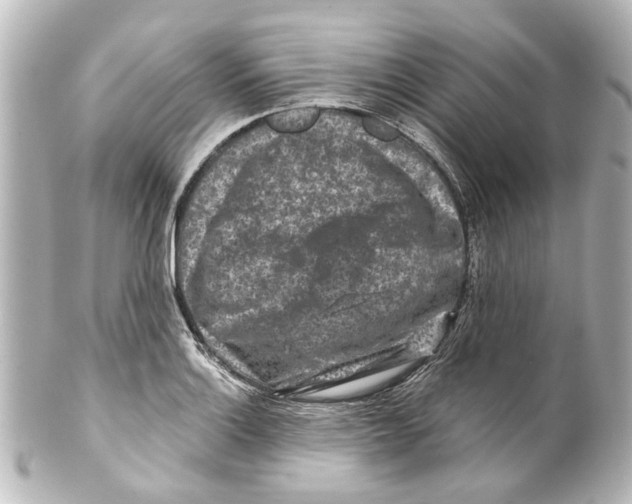 X0000100211132200806271658