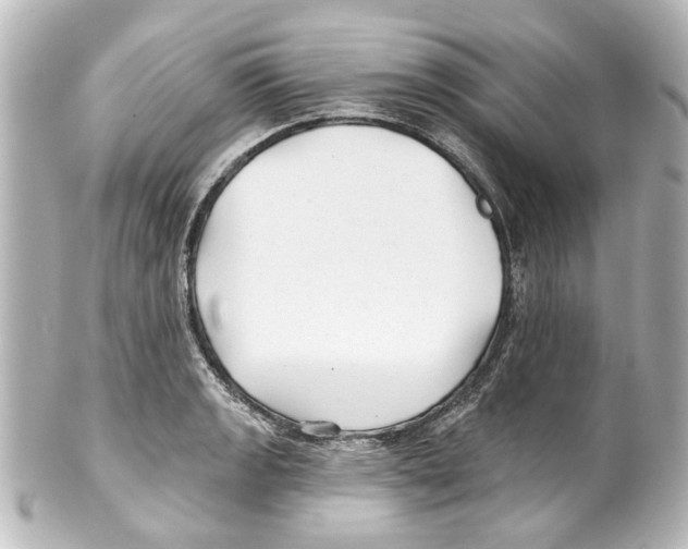 X0000100211133200806271658