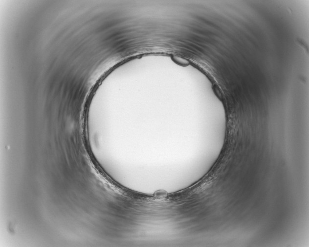 X0000100211135200806271658