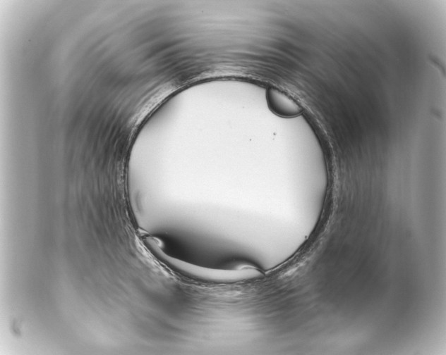 X0000100211137200806271658