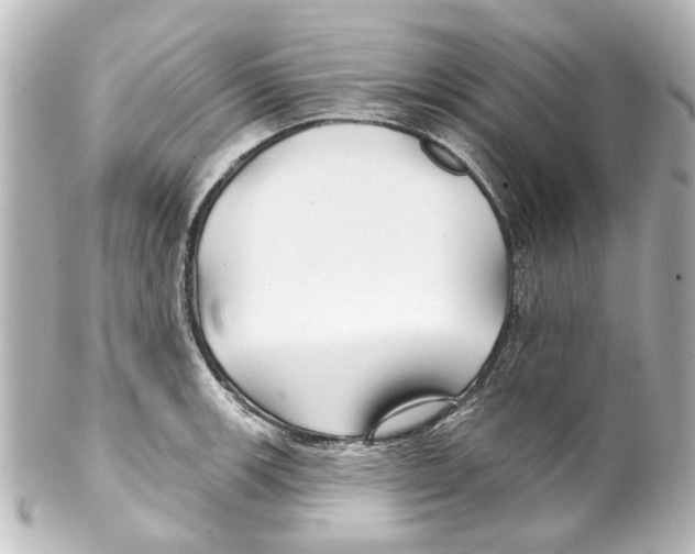 X0000100211139200806271658