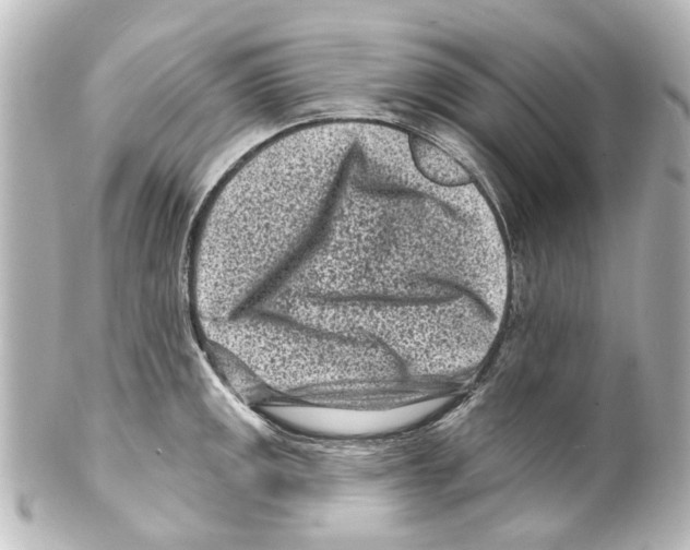 X0000100211141200806271658