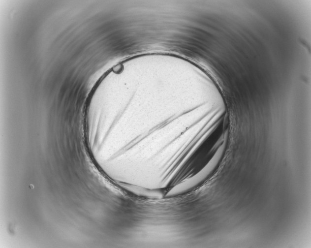 X0000100211142200806271658