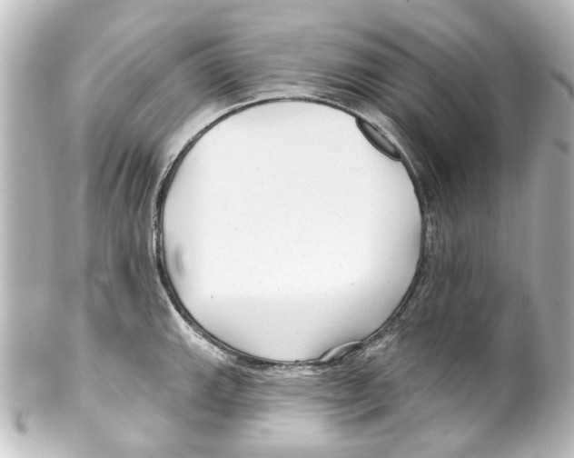 X0000100211143200806271658
