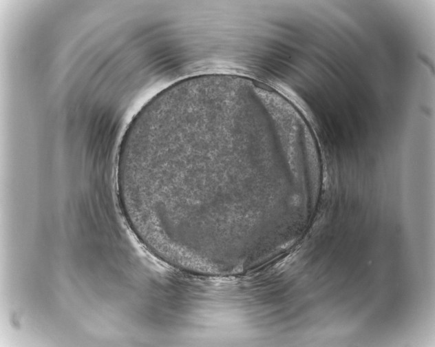 X0000100211144200806271658