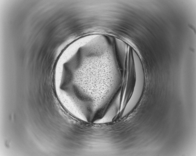 X0000100211146200806271658