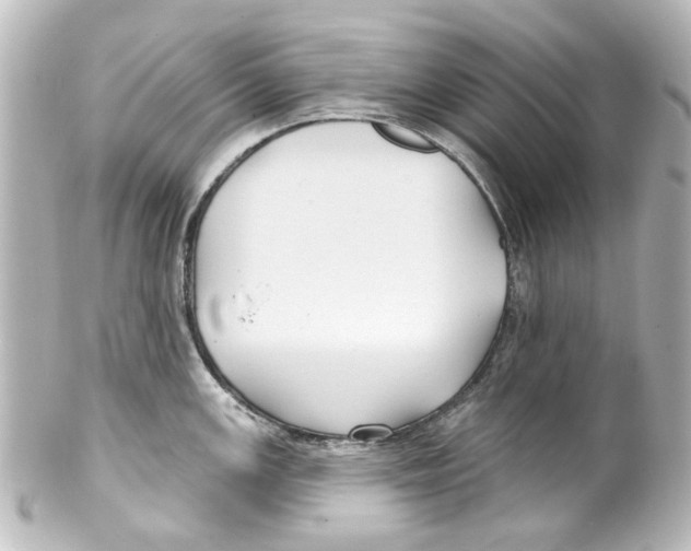 X0000100211147200806271658